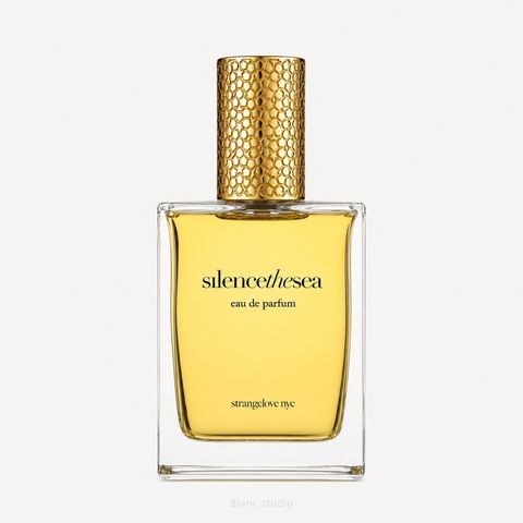 STRANGELOVE Silencethesea